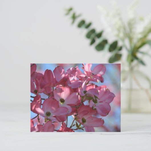 ハナミズキ花 ポストカード (スタンド正面)