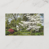 ハナミズキ開花 名刺 (裏面)