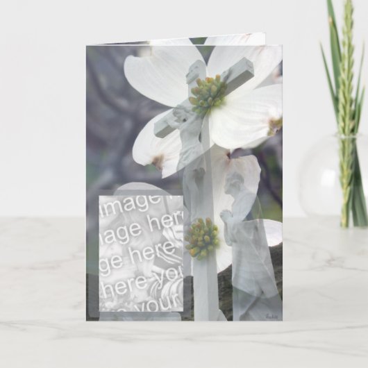 ハナミズキ カード (正面)