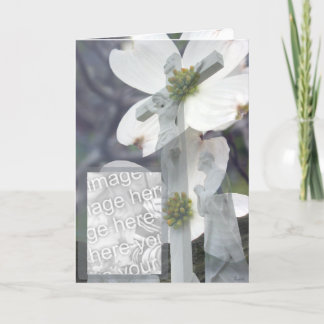 ハナミズキ カード