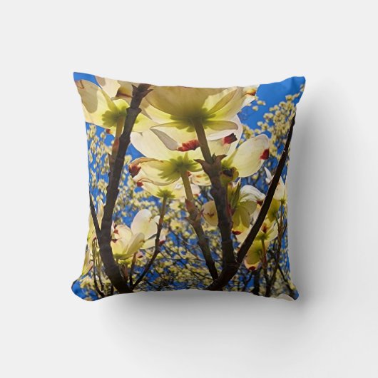 ハナミズキ クッション (正面)