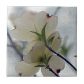 ハナミズキ タイル (正面)