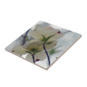 ハナミズキ タイル (側面)