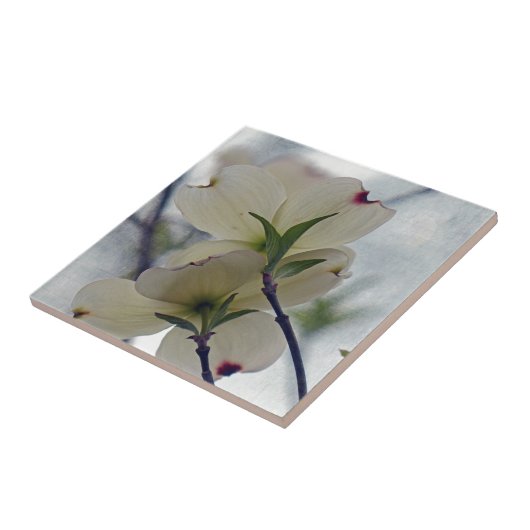 ハナミズキ タイル (側面)