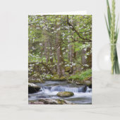 ハナミズキ |テ素晴らしネシー州スモークマウンテン カード (正面)