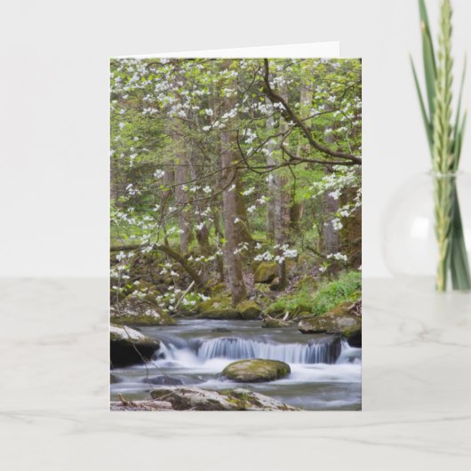 ハナミズキ |テ素晴らしネシー州スモークマウンテン カード (正面)