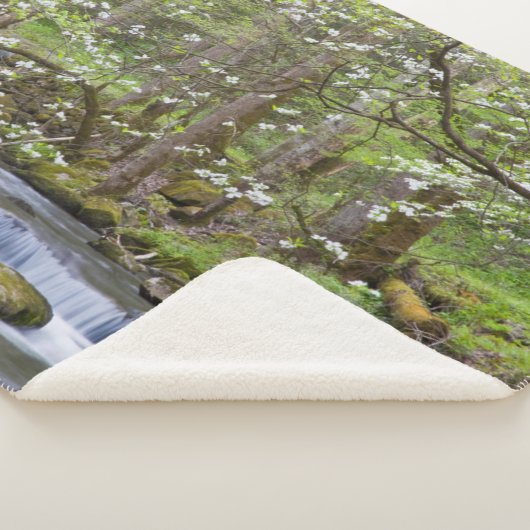 ハナミズキ |テ素晴らしネシー州スモークマウンテン シェルパブランケット (3/4)