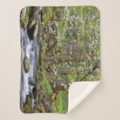 ハナミズキ |テ素晴らしネシー州スモークマウンテン シェルパブランケット (正面)