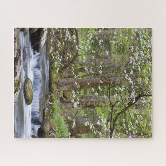 ハナミズキ |テ素晴らしネシー州スモークマウンテン ジグソーパズル (横)