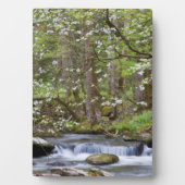 ハナミズキ |テ素晴らしネシー州スモークマウンテン フォトプラーク (正面)