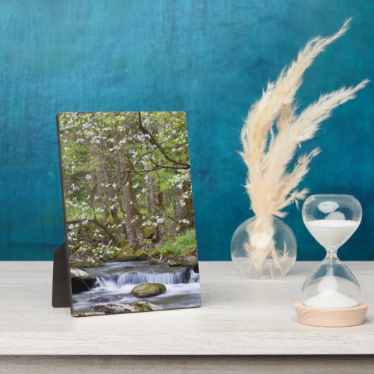 ハナミズキ |テ素晴らしネシー州スモークマウンテン フォトプラーク (側面)