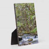 ハナミズキ |テ素晴らしネシー州スモークマウンテン フォトプラーク (側面)