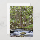 ハナミズキ |テ素晴らしネシー州スモークマウンテン ポストカード (正面/裏面)