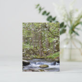 ハナミズキ |テ素晴らしネシー州スモークマウンテン ポストカード (スタンド正面)