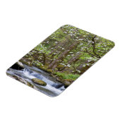 ハナミズキ |テ素晴らしネシー州スモークマウンテン マグネット (左側)