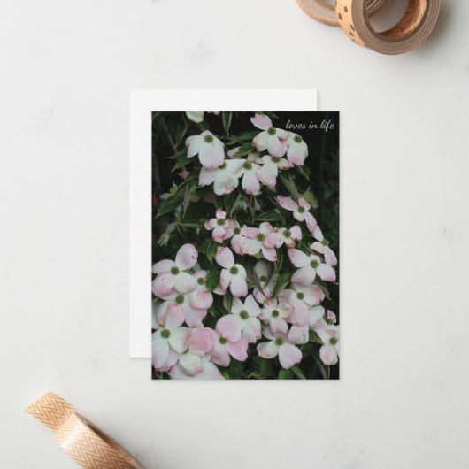 ハナミズキ ノートカード (正面/裏面インサイチュ)