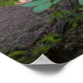 ハナミズキ ポスター (角)