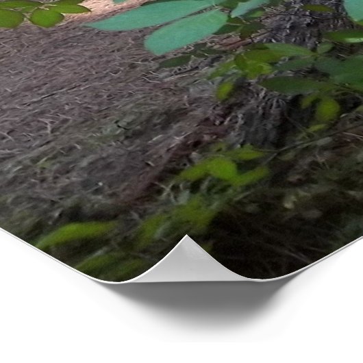 ハナミズキ ポスター (角)