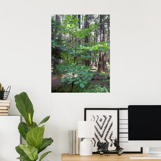 ハナミズキ ポスター (ホームオフィス)