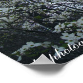 ハナミズキ ポスター (角)