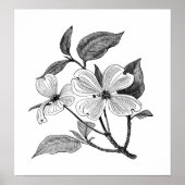 ハナミズキ ポスター (正面)