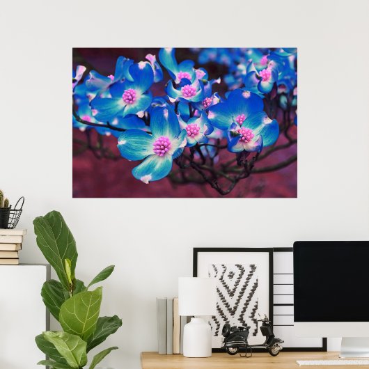 ハナミズキ ポスター (ホームオフィス)