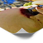 ハナミズキ ポスター (角)