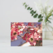 ハナミズキ ポストカード (スタンド正面)