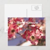 ハナミズキ ポストカード (正面/裏面)