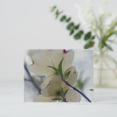 ハナミズキ ポストカード (スタンド正面)