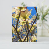 ハナミズキ 招待状 (スタンド正面)