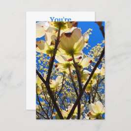 ハナミズキ 招待状