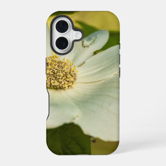 ハナミズキ iPhone 16ケース (裏面)