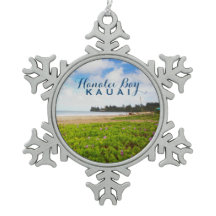 ハナリーベイカウアイハワイスノーフレークペウタークリスマ