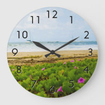 ハナリーベイカウアイハワイビーチ&ボーツ