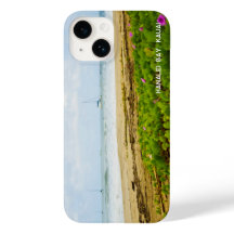 ハナリーベイカウアイハワイビーチ&ボート