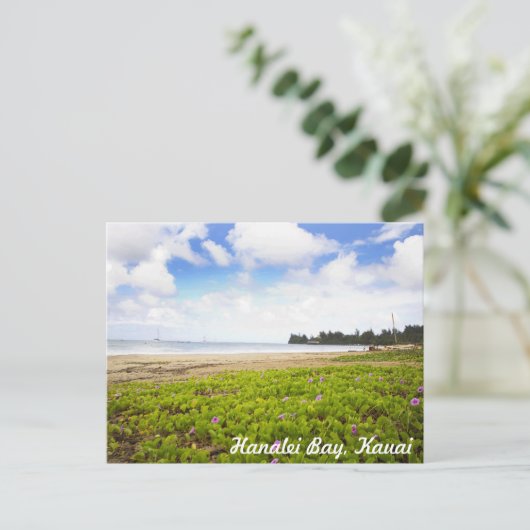 ハナリーベイカウアイハワイ熱帯ビーチシーン ポストカード (スタンド正面)