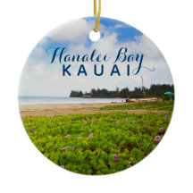 ハナリーベイカウアイHawaii 2写真年