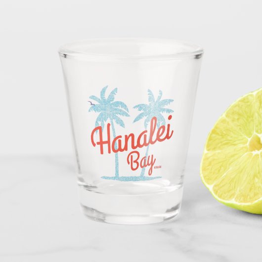 ハナリーベイハワイ島カウアイ土産 ショットグラス (正面)
