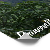 ハナレイ湾 ポスター (角)