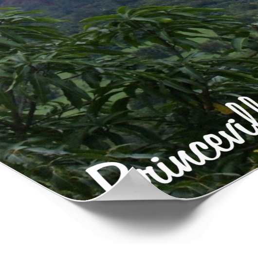 ハナレイ湾 ポスター (角)