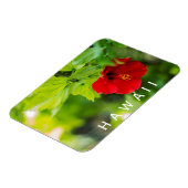 ハナレーレッドハイビスカス熱帯花 マグネット (左側)