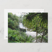 ハナ003, ハナ,  マウイ島, ハナ マウイ島 ポストカード (正面/裏面)