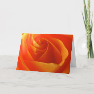 ハナII シーズンカード