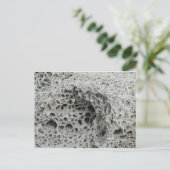 ハニカム風化 ポストカード (スタンド正面)