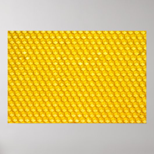 ハニカム ポスター (正面)