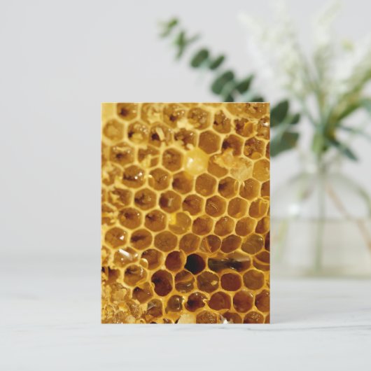 ハニカム ポストカード (スタンド正面)