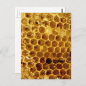 ハニカム ポストカード (正面/裏面)