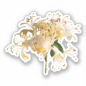 ハニーサックルの花\6月誕生の花 シール (正面)