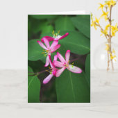 ハニーサックルの開花 カード (黄色い花)